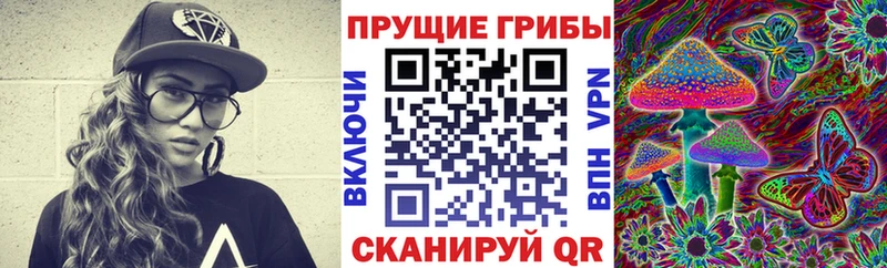 магазин продажи   Йошкар-Ола  Галлюциногенные грибы мицелий 